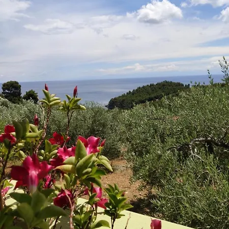 Elia House 1 Astoning Sea View Among The Olive Trees *
