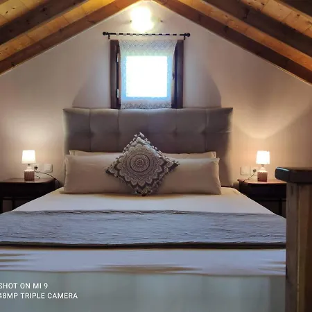 Elia House 1 Astoning Sea View Among The Olive Trees Patitiri