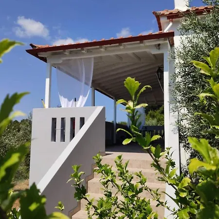 Elia House 1 Astoning Sea View Among The Olive Trees Patitiri