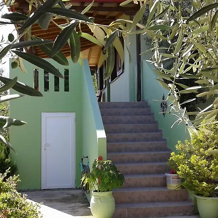 Elia House 1 Astoning Sea View Among The Olive Trees Patitiri